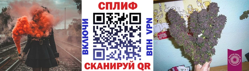 Где купить Кингисепп АМФЕТАМИН A PVP Псилоцибиновые грибы ГАШИШ Меф мяу мяу