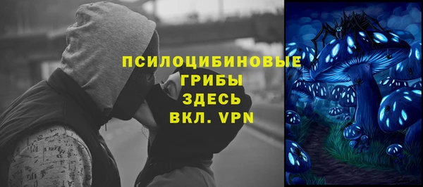 2c-b Алексеевка