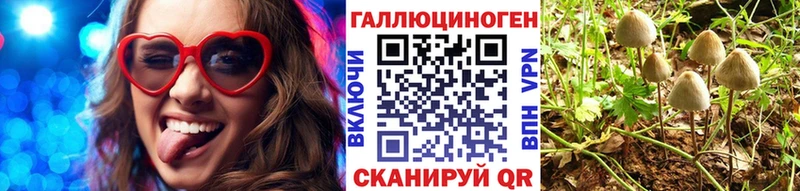 Псилоцибиновые грибы Psilocybine cubensis  даркнет сайт  Кингисепп 